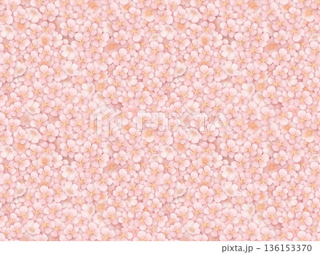 桜のシームレスパターン' 桜のシームレスパターン' 136153370