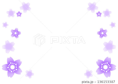 紫色の桜に囲まれたフレーム 136153387