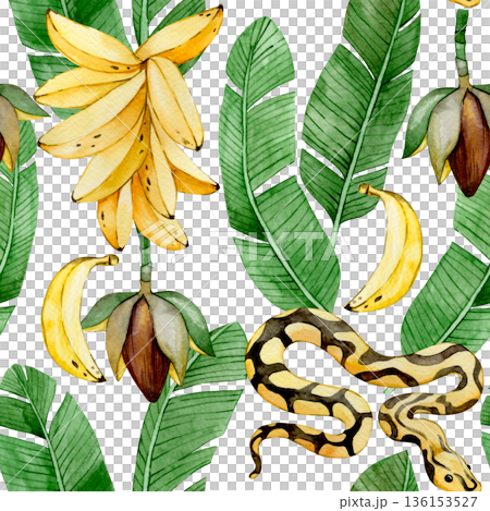 Watercolor banana seamless pattern with tropical leaves, flowers and banana palm fruits. 136153527