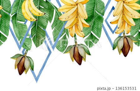 Watercolor seamless banana border with tropical leaves and banana palm fruits 136153531