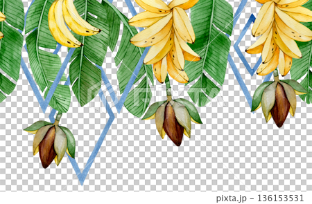Watercolor seamless banana border with tropical leaves and banana palm fruits 136153531
