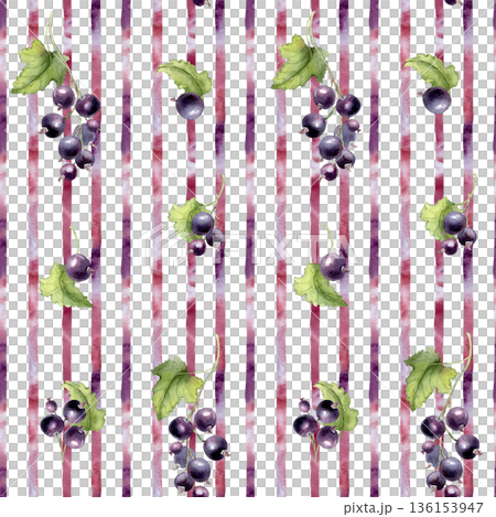 Black currants watercolor seamless pattern on purple and red striped background. Artistic garden fruits design for fabric, textile, wallpaper. Vibrant fresh berries repeat backdrop on white. Black currants watercolor seamless pattern on purple and red striped background. Artistic garden fruits design for fabric, textile, wallpaper. Vibrant fresh berries repeat backdrop on white. 136153947