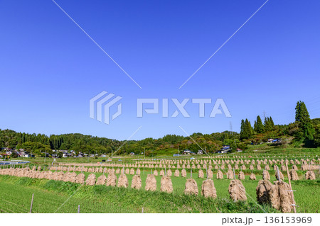 山形 大蕨(おおわらび)の棚田 秋 136153969