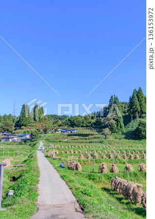 山形 大蕨(おおわらび)の棚田 秋 136153972