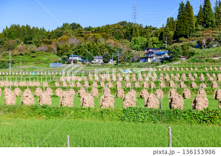 山形 大蕨(おおわらび)の棚田 秋 山形 大蕨(おおわらび)の棚田 秋 136153986