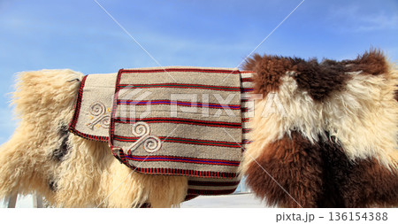Handmade bags for storing bread and sheepskins against the sky. Turkmenistan. Ashkhabad market. Handmade bags for storing bread and sheepskins against the sky. Turkmenistan. Ashkhabad market. 136154388