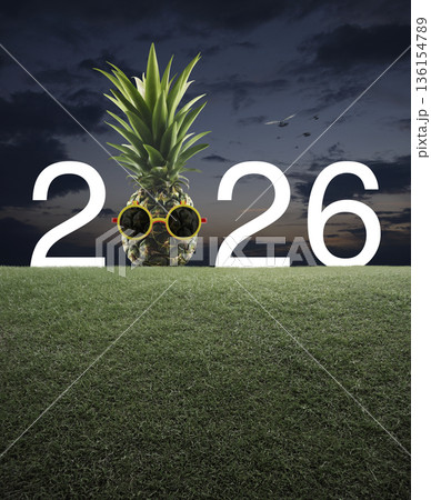 Happy new year 2026 summer holiday concept 136154789