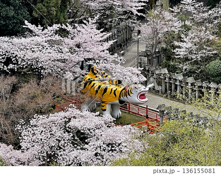 信貴山　朝護孫子寺　本堂より大寅(世界一福寅)を望む 136155081