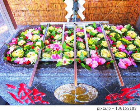 千葉県浦安市の清瀧神社の新年の風景 136155185