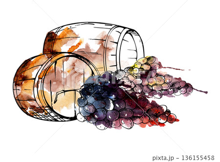 Wooden barrels with grape clusters, cellar storage casks in ink outline with watercolor bleed backdrop. Isolated illustration hand drawn for craft winery branding, vineyard or distillery stationery. 136155458