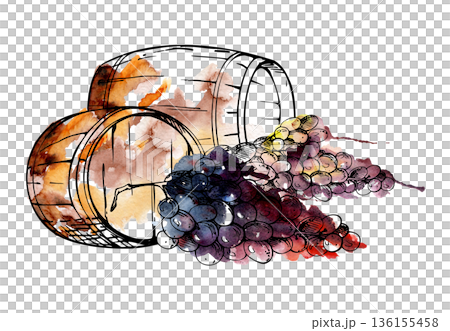 Wooden barrels with grape clusters, cellar storage casks in ink outline with watercolor bleed backdrop. Isolated illustration hand drawn for craft winery branding, vineyard or distillery stationery. 136155458