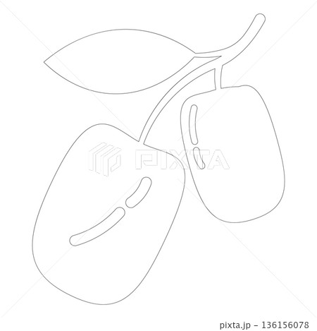 Outline Two Plum Fruits on Branch Icon for Healthy Food and Agricultural Designs 136156078
