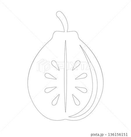 Outline drawing of a halved guava with seeds on a white background 136156151