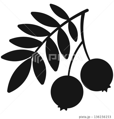 Simple Black Silhouette of Berries on a Branch with Leaves Icon for Autumn and Nature Themes Simple Black Silhouette of Berries on a Branch with Leaves Icon for Autumn and Nature Themes 136156153