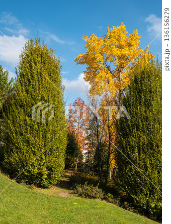 Modern Urban Landscape of Palas Iasi Public Garden in Romania 136156279