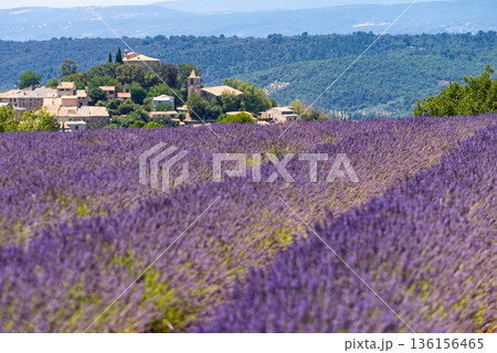 View of Entrevennes village, Provence France View of Entrevennes village, Provence France 136156465