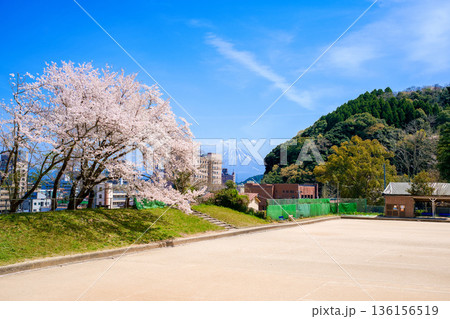 〈鳥取県〉米子城跡　二の丸跡のテニスコートの桜と大山　4月 136156519