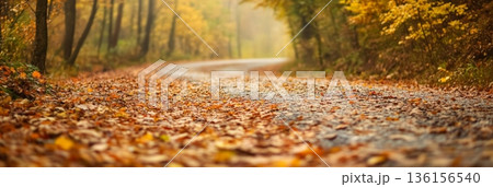 Fallen leaves blanketing a winding asphalt road meander through a tranquil forest on a foggy autumn day, creating a serene and picturesque atmosphere filled with vibrant colors 136156540