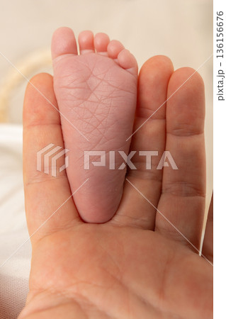 Minimal close-up of newborn baby feet placed in an adult hand. Symbol of protection, care, family love and fragile new life in warm natural tones 136156676