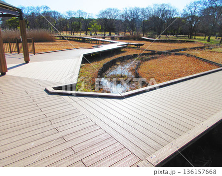 東京都足立区の都立舎人公園の様々な風景 136157668