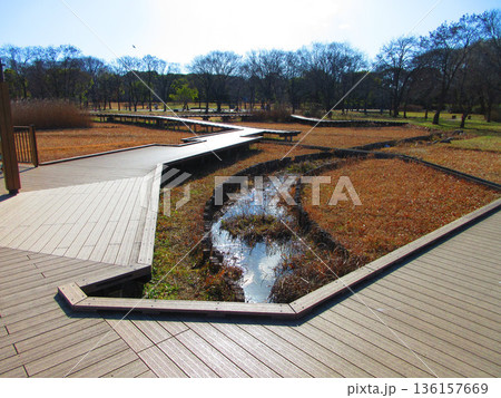 東京都足立区の都立舎人公園の様々な風景 136157669