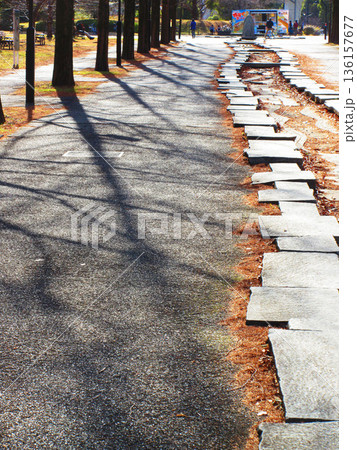東京都足立区の都立舎人公園の様々な風景 136157677