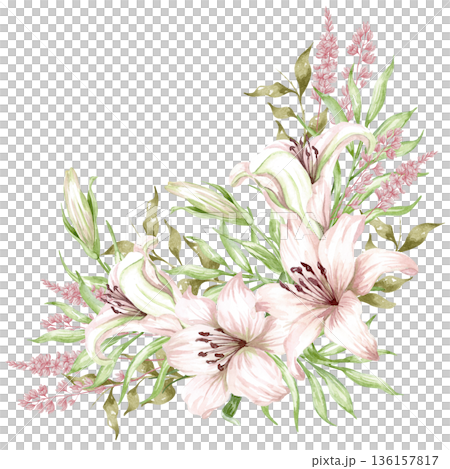 Lilies, set pink flowers on an isolated white background, watercolor illustration, collection 136157817