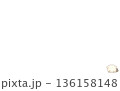 社内資料に使える 右下ワンポイントの やさしい動物イラスト（申し訳ありません） 136158148