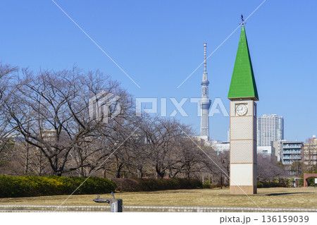 【東京都】猿江恩賜公園・中央広場の時計塔とスカイツリー(冬) 【東京都】猿江恩賜公園・中央広場の時計塔とスカイツリー(冬) 136159039