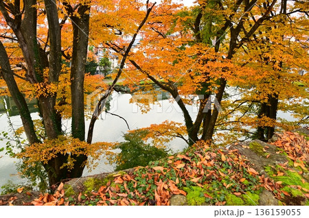 会津若松市 鶴ヶ城址公園 136159055
