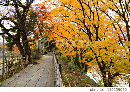 会津若松市 鶴ヶ城址公園 136159056