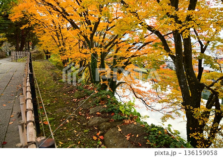 会津若松市 鶴ヶ城址公園 136159058