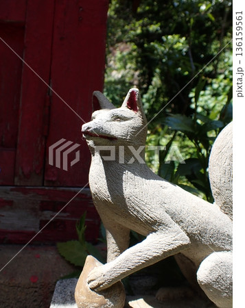 狛狐　神社 136159561