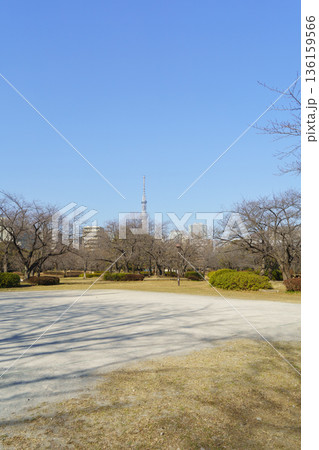 【東京都】猿江恩賜公園・芝生広場とスカイツリー(冬) 136159566