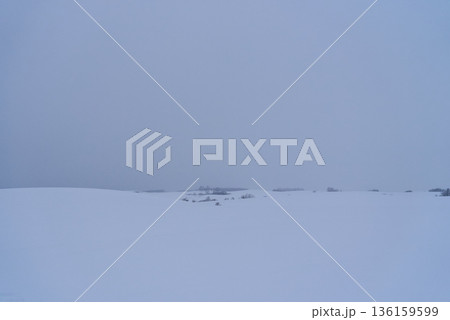 雪原風景　北海道美瑛町 136159599