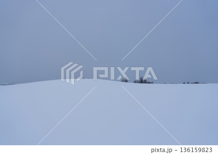 雪原風景　北海道美瑛町 136159823
