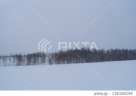 雪原風景 北海道美瑛町 雪原風景 北海道美瑛町 136160294
