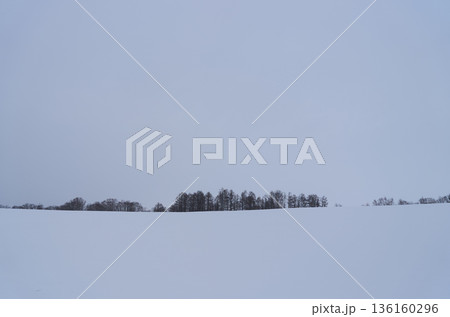 雪原風景　北海道美瑛町 136160296