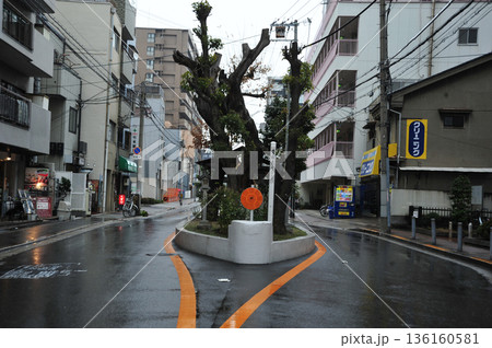 大阪市 道路の真ん中の楠大神 御神木 大阪市 道路の真ん中の楠大神 御神木 136160581