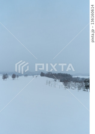 雪原風景　北海道美瑛町 136160614