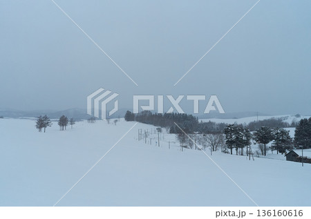 雪原風景　北海道美瑛町 136160616