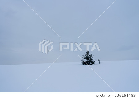 雪原風景 北海道美瑛町 雪原風景 北海道美瑛町 136161485