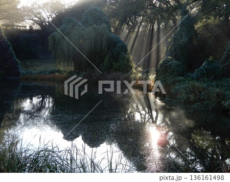 早朝の名古屋城のお堀 136161498