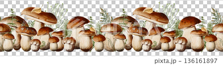 Seamless decorative border of porcini mushrooms with forest plants, grass, and ferns. Ideal for backgrounds, packaging, banners, and menu design. Watercolor illustration, hand painted. High quality 136161897