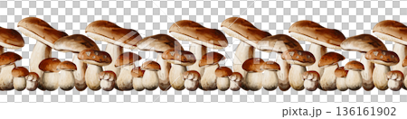 Decorative horizontal border of wild porcini mushrooms arranged in a dense row. Various shapes and sizes with brown caps, ideal for banners, packaging, menu design, culinary projects,. High quality 136161902