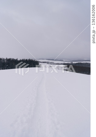 雪原に残る足跡 136162006