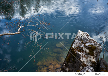 Bare tree branch over clear lake water with underwater rocks. Nature scene featuring a serene body of water and natural beauty. 136162165