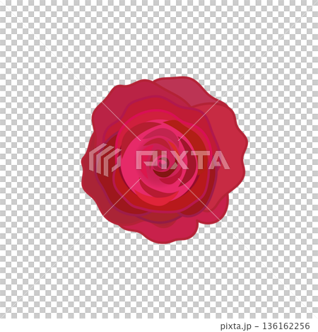 Illustration of a red rose Illustration of a red rose 136162256