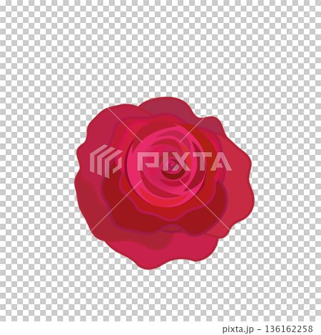 Illustration of a red rose 136162258
