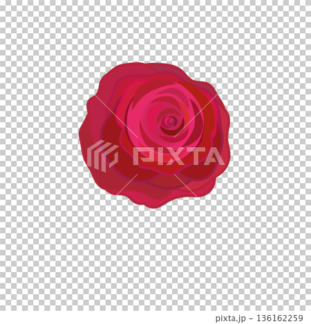 Illustration of a red rose Illustration of a red rose 136162259